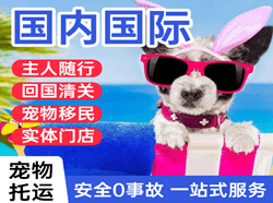 沙堤航空快运国际宠物托运 【国